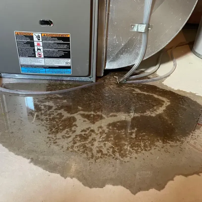 Appliance Leak Cleanup in Pueblito del Rio, PR